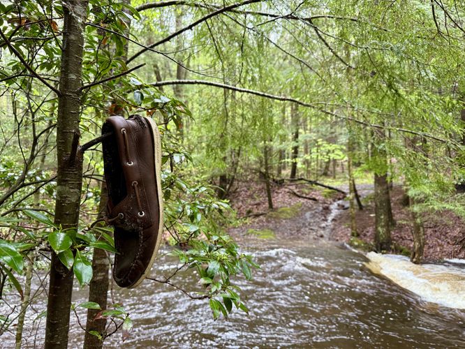 Picture 10 of Hill Reservoir Hike
