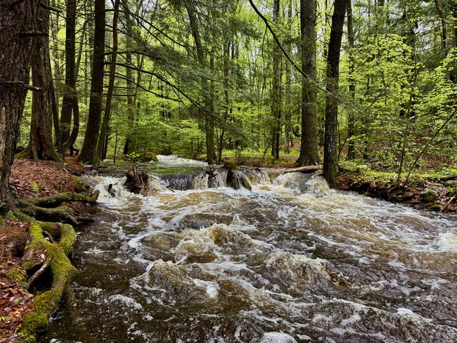 Small cascades in Amethyst Brook