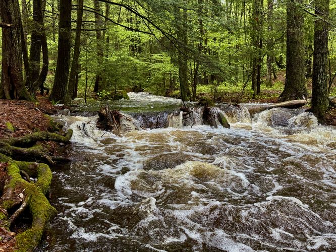 Picture 12 of Hill Reservoir Hike