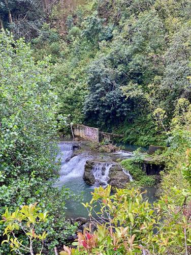 View of Hoalua Falls (approx. 6-feet tall)