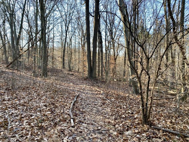 Hiking the unmarked trail to Hobble Falls