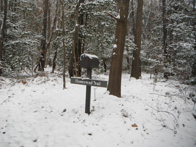 Picture 6 of Hoffler Creek Hike 012613