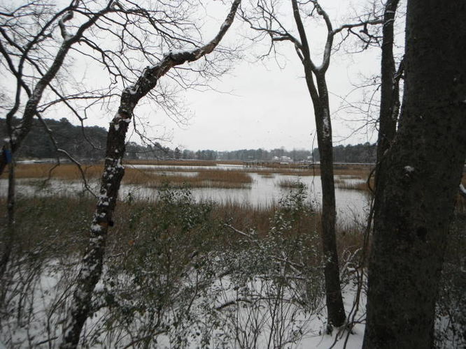 Default image for Hoffler Creek Hike, a 2.1-mile trail in Portsmouth, VA (US)