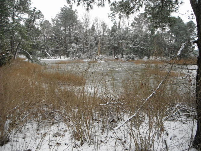 Picture 11 of Hoffler Creek Hike 012613