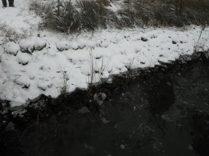 Picture 19 of Hoffler Creek Hike 012613