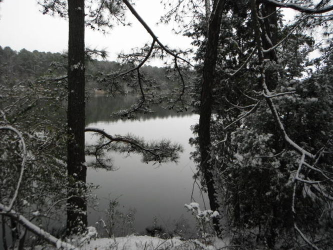 Picture 22 of Hoffler Creek Hike 012613