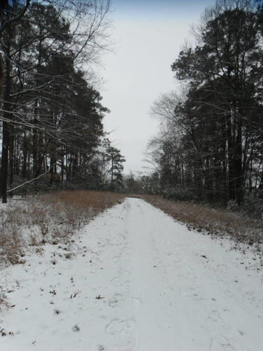 Picture 31 of Hoffler Creek Hike 012613