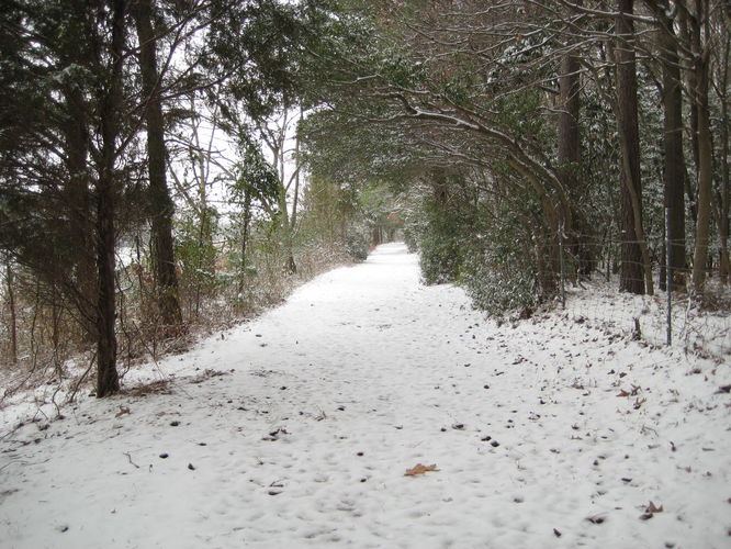 Picture 38 of Hoffler Creek Hike 012613
