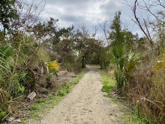 Walking the Hog Island Trail