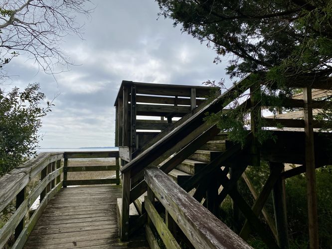 Observation Deck at Hog Island (Patriot's Point)