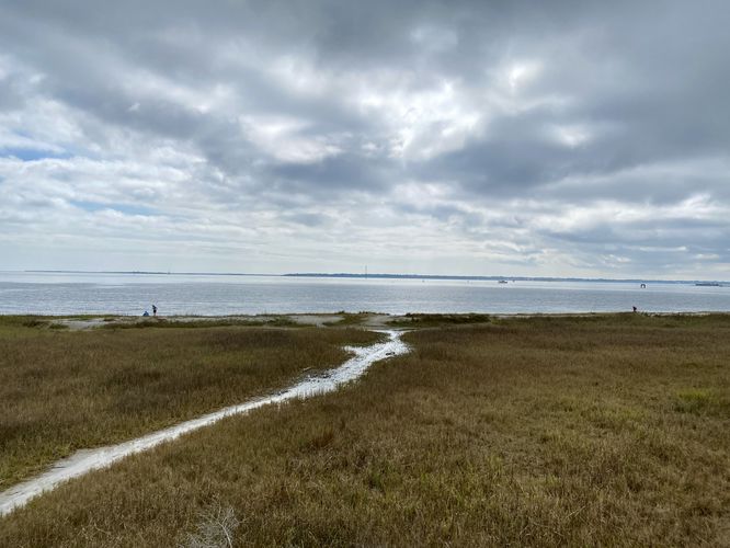 View from the Hog Island Observation Deck