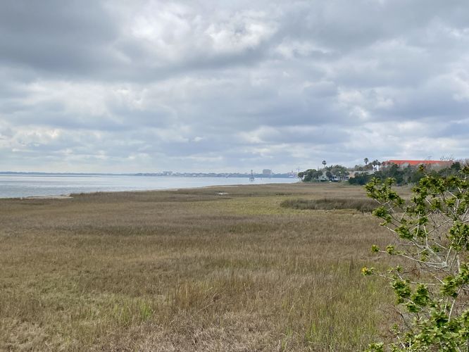 View of Charleston from the Hog Island Observation Deck