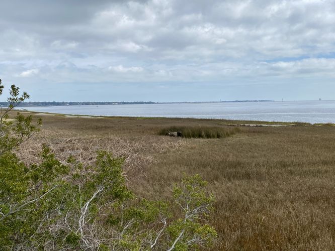 View from the Hog Island Observation Deck