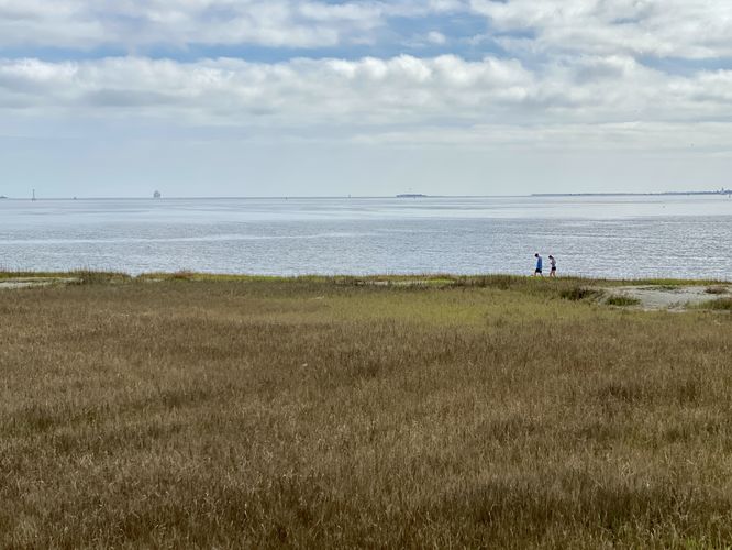 View from the Hog Island Observation Deck
