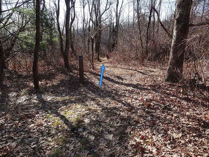 Picture 3 of Hogback Mountain Hike 120112