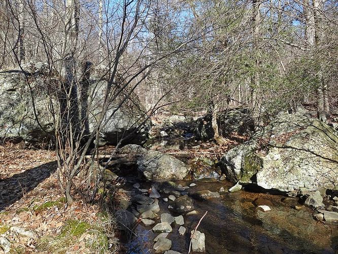 Picture 4 of Hogback Mountain Hike 120112