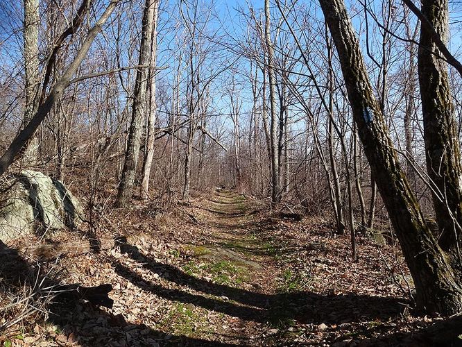 Picture 5 of Hogback Mountain Hike 120112