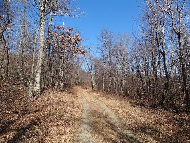 Picture 7 of Hogback Mountain Hike 120112