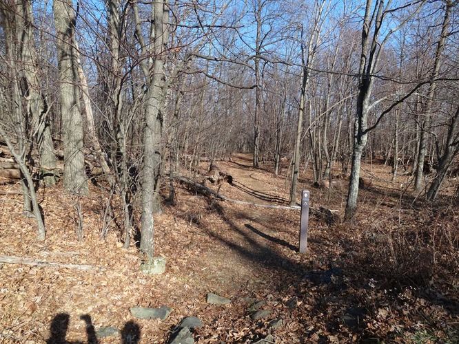 Picture 10 of Hogback Mountain Hike 120112