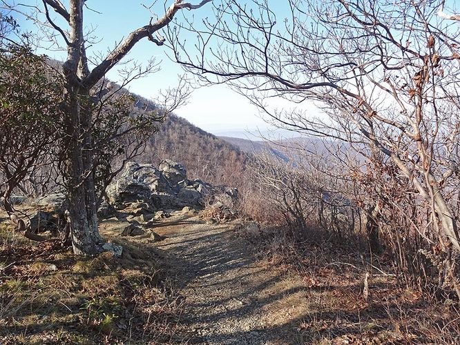 Picture 11 of Hogback Mountain Hike 120112