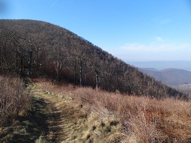 Picture 15 of Hogback Mountain Hike 120112
