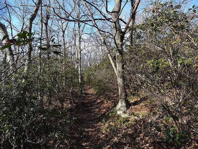 Picture 20 of Hogback Mountain Hike 120112