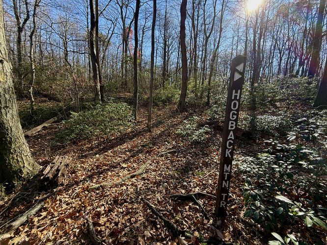Left-hand turn to follow Hogback Mountain Trail