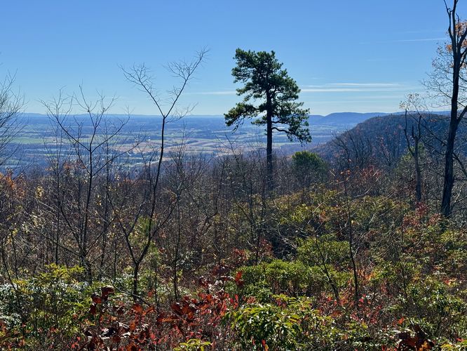 View from Hogback Mountain's summit (Cape Horn Mountain and views into Maryland)