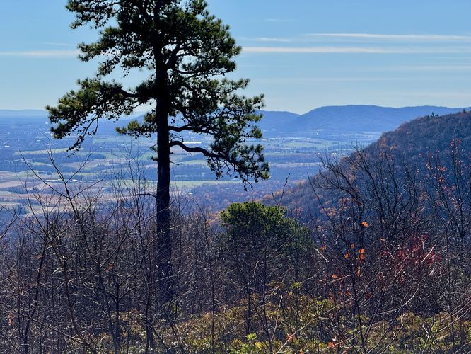 Default image for Hogback Mountain via Charcoal Trail, a 4.5-mile trail in Fort Loudon, PA (US)