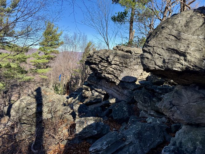Rock ledges at the rock field