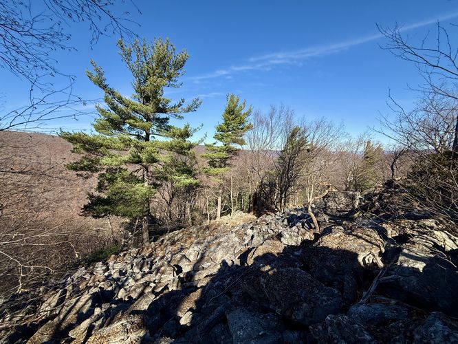 Rock field on Hogback Mountain