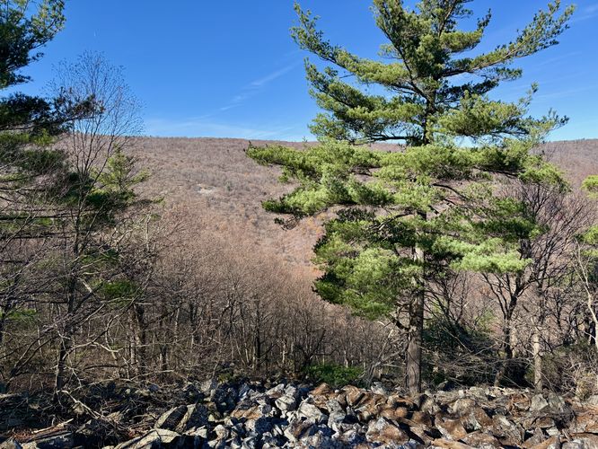 View of Big Mountain from the rock field on Hogback Mountain
