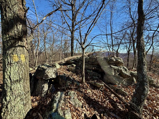 Summit of Hogback Mountain