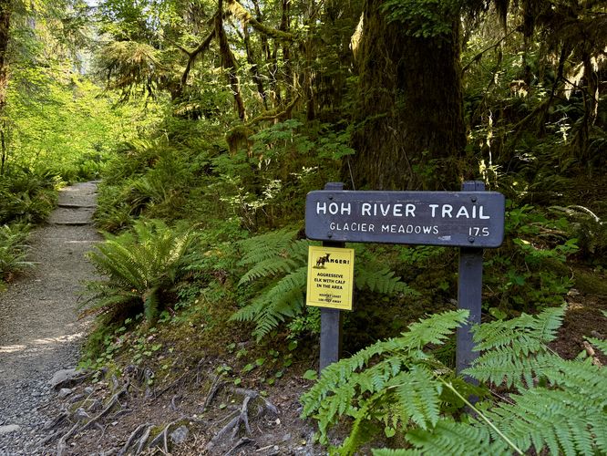 Hoh River Trail trailhead