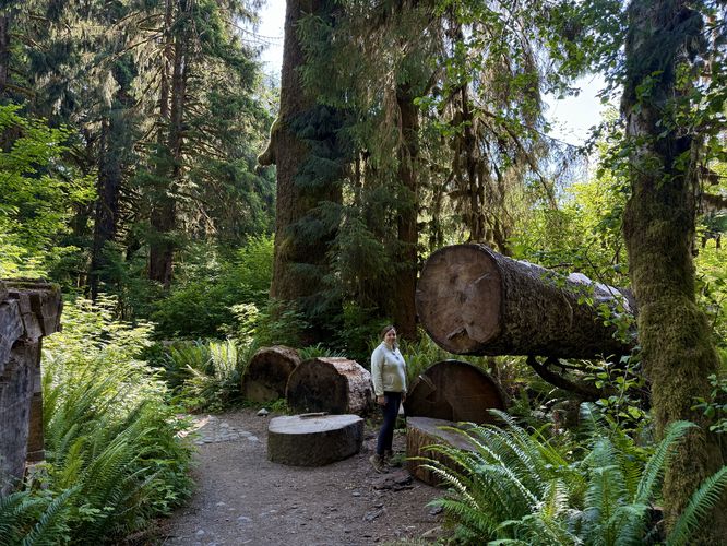 Picture 16 of Hoh River Trail Hike
