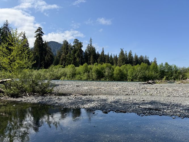 View of the Hoh River