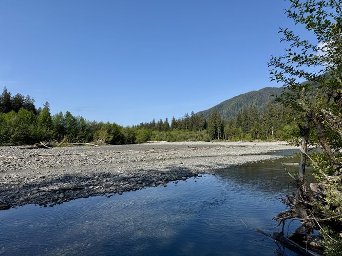 Off-trail view of the Hoh River