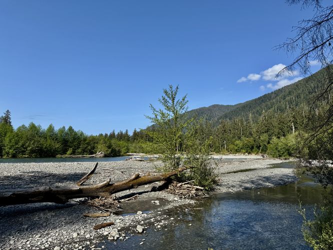 Picture 21 of Hoh River Trail Hike