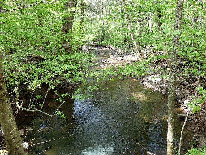 Picture 24 of Hone Quarry Falls Hike 050419