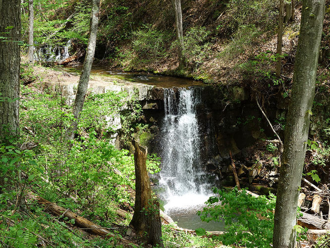 Picture 1 of Hone Quarry Falls Hike 050419