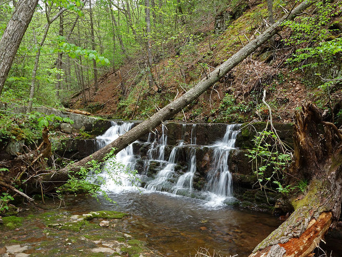 Picture 8 of Hone Quarry Falls Hike 050419