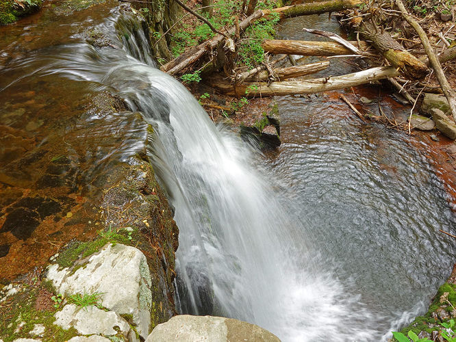 Picture 9 of Hone Quarry Falls Hike 050419