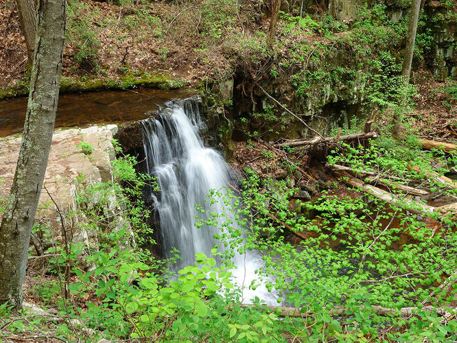 Picture 10 of Hone Quarry Falls Hike 050419