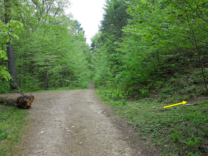 Picture 4 of Hone Quarry Falls Hike 050419