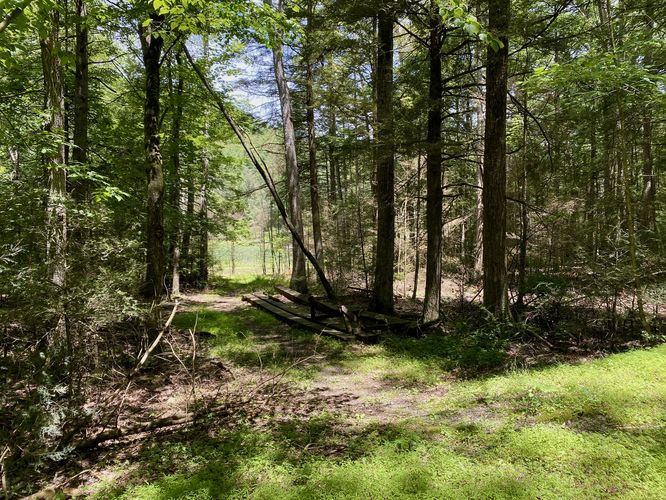 Honey Creek Trail entrance along the service road
