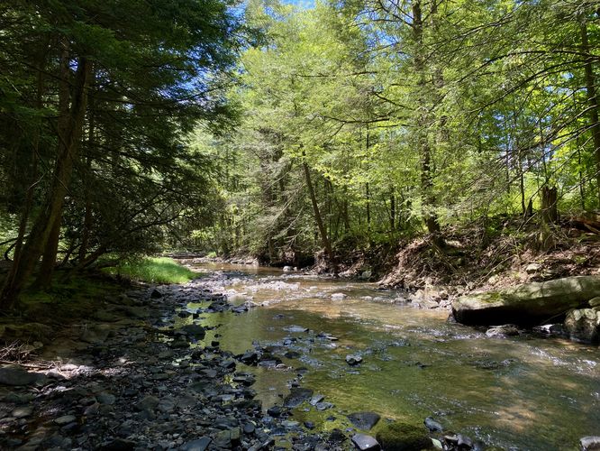 View of Honey Creek