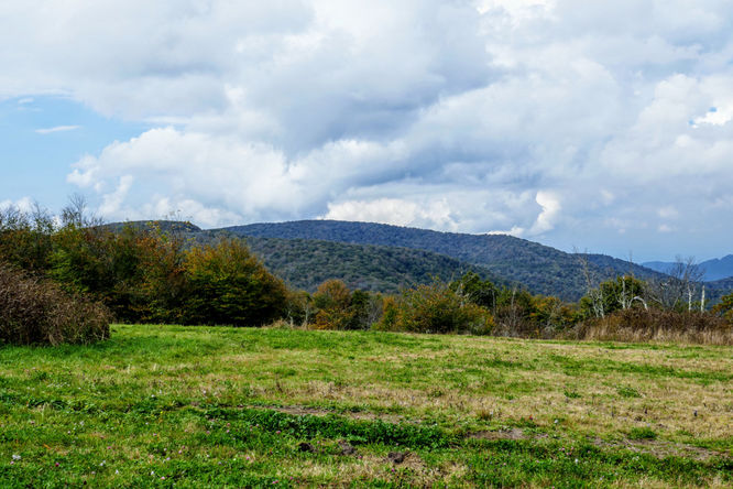 Default image for Hooper Bald Hike, a 1.2-mile trail in Lake Santeetlah, NC (US)