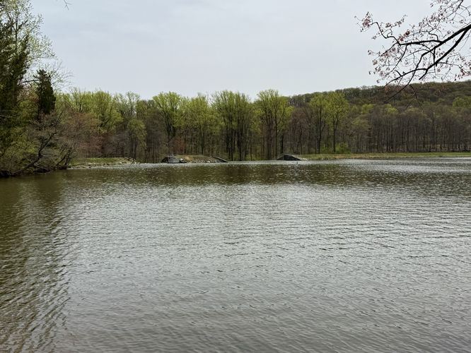 Picture 15 of Hopewell Furnace and Lake Loop Hike
