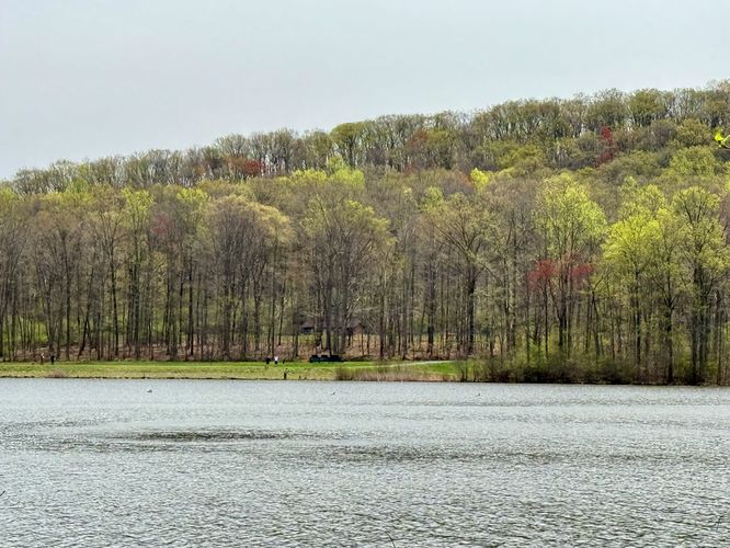View of Hopewell Lake