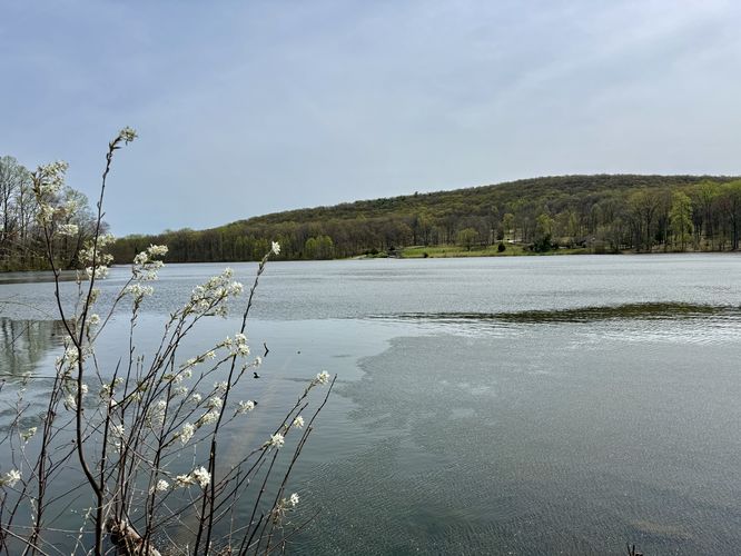 View of Hopewell Lake